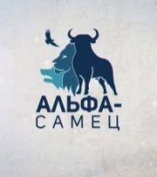Альфа-самец