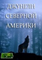 Animal Planet: Джунгли Северной Америки/Yankee jungle