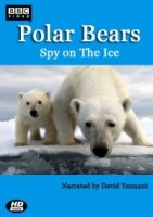 Белый медведь - Шпион во льдах/Polar Bear - Spy on the Ice