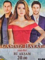 Беззаботная жизнь/Gamsiz Hayat