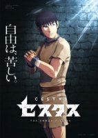 Цестус: Римский боец/Cestvs: The Roman Fighter