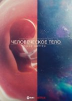 Человеческое тело: мир внутри/Human: The World Within