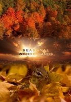 Чудеса времен года/Seasonal Wonderlands