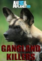Гангстеры дикой природы/Gangland Killers