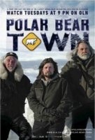 Городок полярных медведей/Polar Bear Town