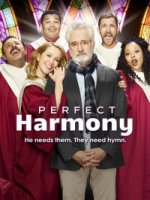 Идеальная гармония/Perfect Harmony