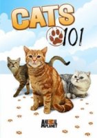 Энциклопедия кошек/Cats 101
