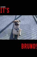 Это Бруно/Its Bruno