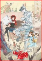 Клетки за работой!/Hataraku Saibou 2 сезон