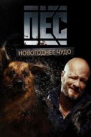 Новогодний Пес