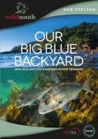 Океан на заднем дворе/Our Big Blue Backyard