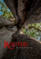 От корня до кроны: Тайны деревьев/Rooted