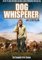 Переводчик с собачьего/Dog Whisperer