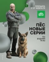 Пес 6 сезон