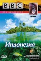 По странам и континентам. Дикая Индонезия/Wild Indonesia