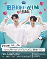 Почтовый ящик БрайтВинов/Bright - Win Inbox
