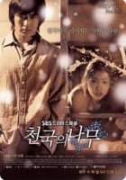 Райское дерево/Tengoku no ki
