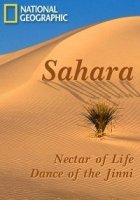 Сахара/Sahara
