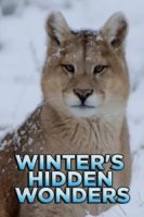 Скрытые чудеса зимы/Winters Hidden Wonders