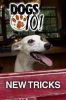 Собаковедение: Новые истории/DOGS 101 New Tricks