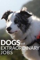 Удивительные профессии собак/Dogs with extraordinary jobs