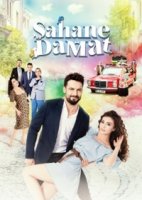 Замечательный зять/Sahane Damat