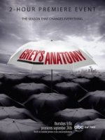 Анатомия страсти/Greys Anatomy 6 сезон