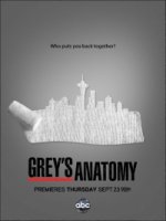 Анатомия страсти/Greys Anatomy 8 сезон