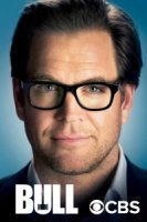 Булл/Bull 1 сезон
