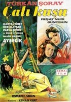 Королек - птичка певчая/Çalıkuşu