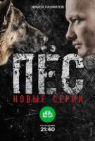 Пес 3 сезон