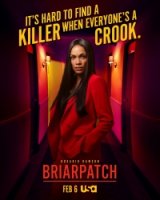Тернистый путь/Briarpatch