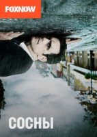 Уэйуорд Пайнс/Wayward Pines 1 сезон