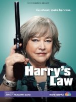Закон Хэрри/Harrys Law 1 сезон