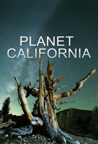 Планета Калифорния/Planet California