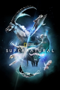 Сверх/Естественное/Super/Natural