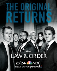 Закон и порядок/Law & Order 22 сезон