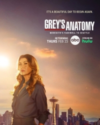 Анатомия страсти/Greys Anatomy 20 сезон