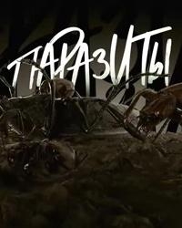 Паразиты