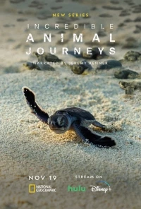 Невероятные путешествия животных/Incredible Animal Journeys