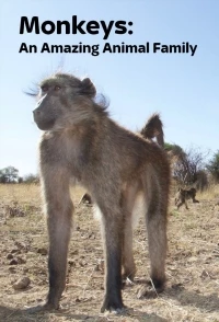 Обезьяны: Удивительное семейство животных/Monkeys: An Amazing Animal Family