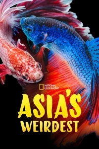 Причуды дикой природы Азии/Asias Weirdest