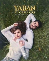Дикие цветы/Yaban Cicekleri