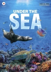 На морском дне/Under the Sea