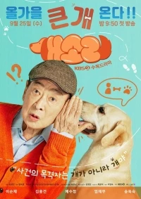 Песель знает все/Dog Knows Everything