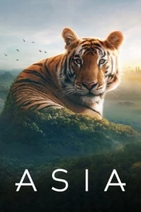 Азия/Asia
