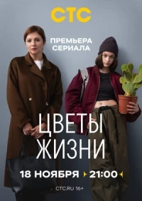 Цветы жизни (2024)/Цветы жизни