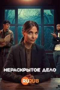 Нераскрытое дело (2024)/Onopgelost
