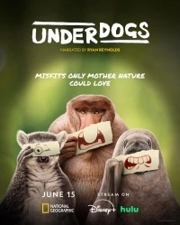 Аутсайдеры/Underdogs