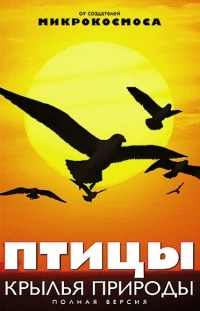 Птицы Крылья природы/Les ailes de la nature
